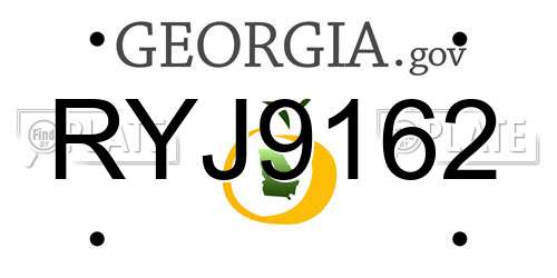 RYJ9162 Georgia License Plate