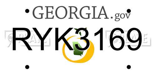 RYK3169 Georgia License Plate