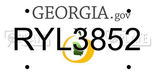 RYL3852 Georgia License Plate