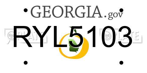RYL5103 Georgia License Plate