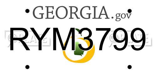 RYM3799 Georgia License Plate
