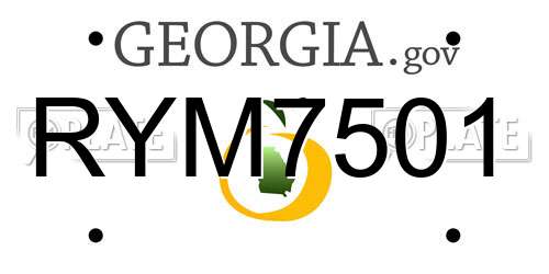 RYM7501 Georgia License Plate