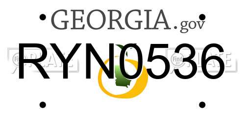 RYN0536 Georgia License Plate