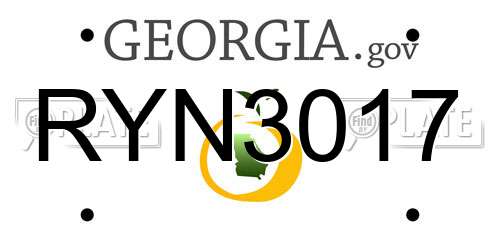 RYN3017 Georgia License Plate