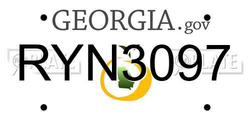 RYN3097 Georgia License Plate