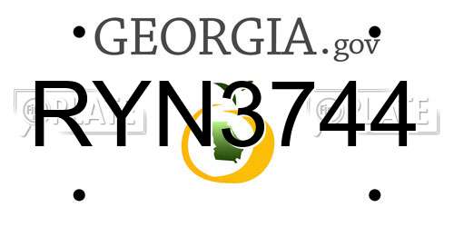 RYN3744 Georgia License Plate