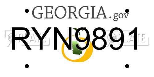 RYN9891 Georgia License Plate