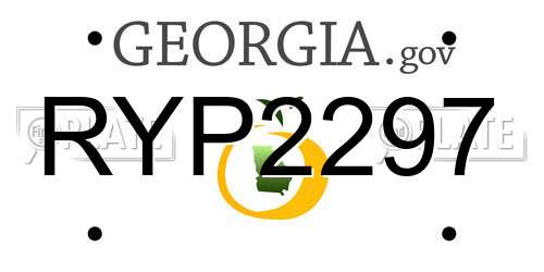 RYP2297 Georgia License Plate