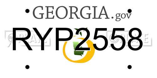 RYP2558 Georgia License Plate