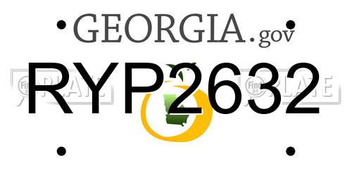 RYP2632 Georgia License Plate