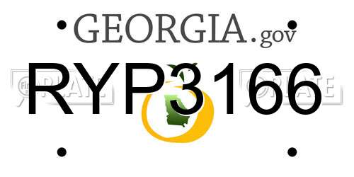 RYP3166 Georgia License Plate