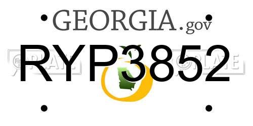 RYP3852 Georgia License Plate