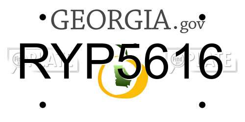 RYP5616 Georgia License Plate
