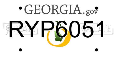 RYP6051 Georgia License Plate