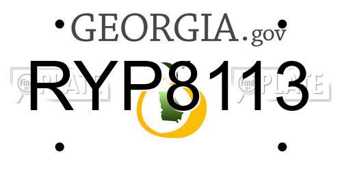 RYP8113 Georgia License Plate