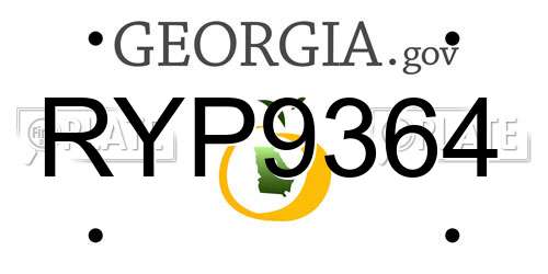 RYP9364 Georgia License Plate