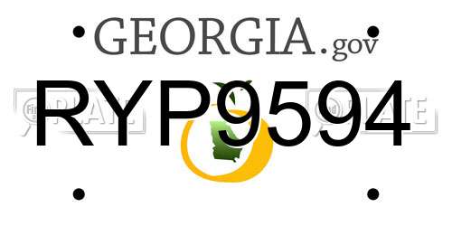 RYP9594 Georgia License Plate
