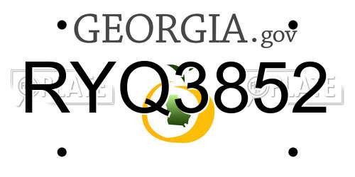 RYQ3852 Georgia License Plate