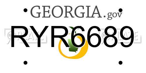 RYR6689 Georgia License Plate
