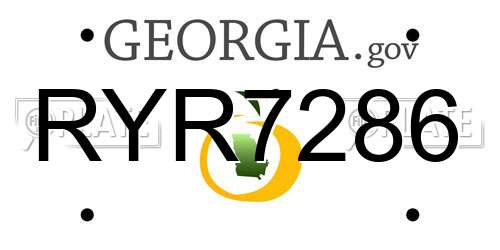RYR7286 Georgia License Plate