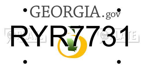 RYR7731 Georgia License Plate