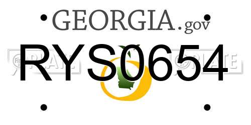 RYS0654 Georgia License Plate