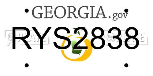 RYS2838 Georgia License Plate