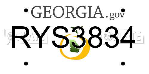 RYS3834 Georgia License Plate