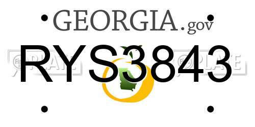 RYS3843 Georgia License Plate