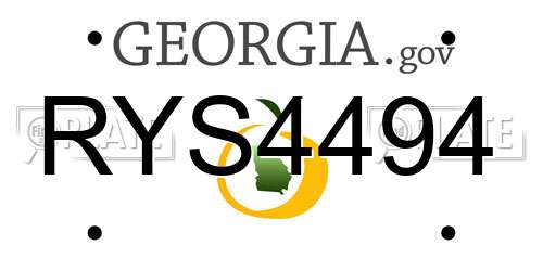 RYS4494 Georgia License Plate
