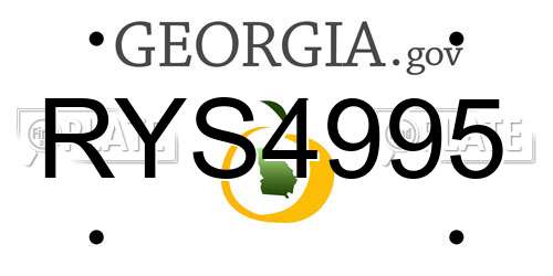 RYS4995 Georgia License Plate