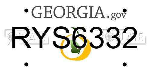 RYS6332 Georgia License Plate