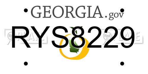 RYS8229 Georgia License Plate