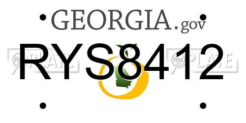 RYS8412 Georgia License Plate