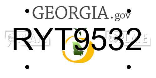 RYT9532 Georgia License Plate