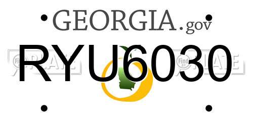 RYU6030 Georgia License Plate