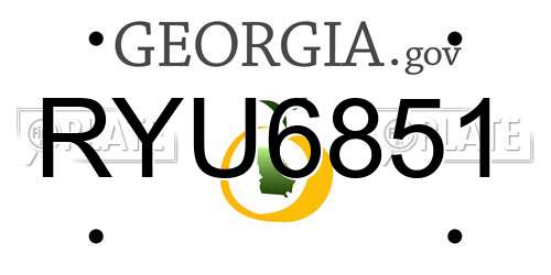 RYU6851 Georgia License Plate