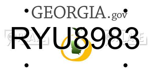 RYU8983 Georgia License Plate