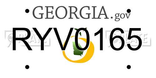 RYV0165 Georgia License Plate