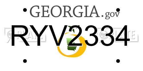 RYV2334 Georgia License Plate