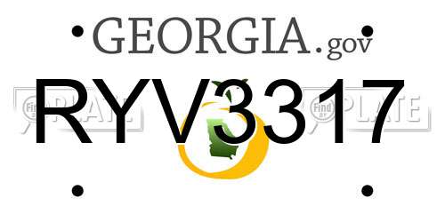 RYV3317 Georgia License Plate