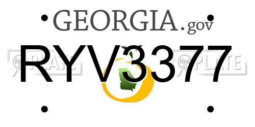 RYV3377 Georgia License Plate