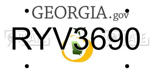 RYV3690 Georgia License Plate