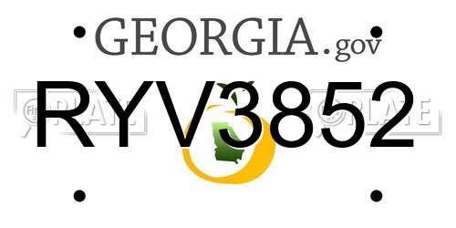 RYV3852 Georgia License Plate