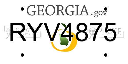 RYV4875 Georgia License Plate