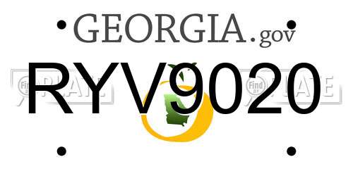 RYV9020 Georgia License Plate
