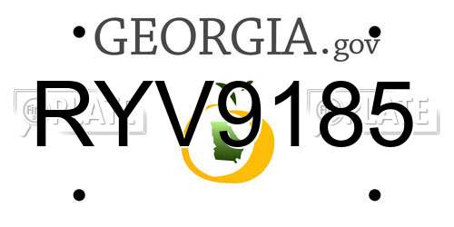 RYV9185 Georgia License Plate