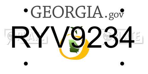 RYV9234 Georgia License Plate