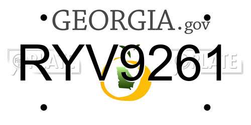 RYV9261 Georgia License Plate