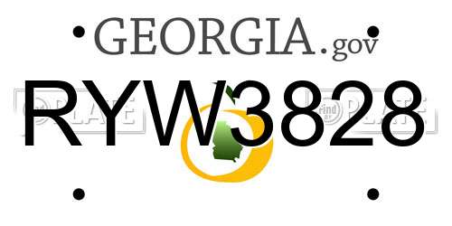RYW3828 Georgia License Plate
